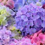 ヒメ日記 2025/06/19 11:57 投稿 りあ 川崎・東横人妻城