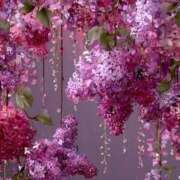 ヒメ日記 2025/08/18 21:01 投稿 りあ 川崎・東横人妻城