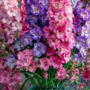 ヒメ日記 2025/08/28 09:38 投稿 りあ 川崎・東横人妻城