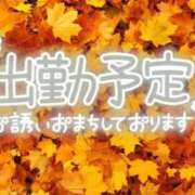 ヒメ日記 2023/11/10 19:14 投稿 なほ ココリラ吉祥寺・調布店