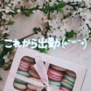 ヒメ日記 2024/12/15 18:13 投稿 なほ ココリラ吉祥寺・調布店