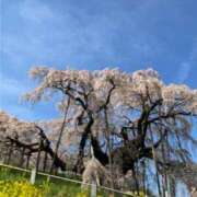 なほ 滝桜🌸 立川洗体風俗エステ ココリラ