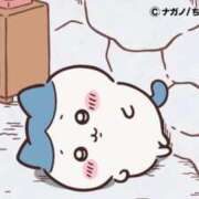 ヒメ日記 2026/02/11 11:15 投稿 なつ CECIL