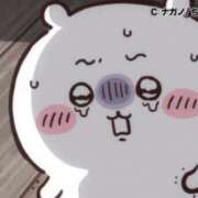 ヒメ日記 2026/03/01 11:21 投稿 なつ CECIL