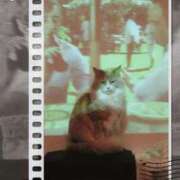 ヒメ日記 2024/12/21 18:03 投稿 あすか すごいエステ京都店