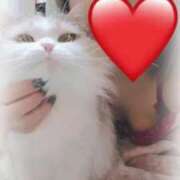 ヒメ日記 2025/02/06 19:36 投稿 あすか すごいエステ京都店