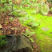 ヒメ日記 2025/06/13 14:23 投稿 あすか すごいエステ京都店