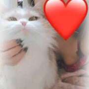 ヒメ日記 2026/01/31 20:03 投稿 あすか すごいエステ京都店