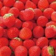 ヒメ日記 2026/02/07 19:23 投稿 ひなの すごいエステ京都店