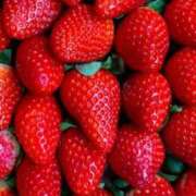 ヒメ日記 2026/02/26 11:45 投稿 ひなの すごいエステ京都店