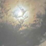 ヒメ日記 2025/04/14 17:57 投稿 柏木 Bell.Madonna（ベルマドンナ）