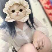 ヒメ日記 2025/06/27 01:24 投稿 てん みつらん鉄道