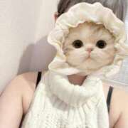 ヒメ日記 2025/07/07 14:54 投稿 てん みつらん鉄道