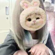 ヒメ日記 2025/07/23 13:04 投稿 てん みつらん鉄道