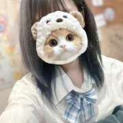 ヒメ日記 2025/08/03 16:58 投稿 てん みつらん鉄道