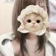 ヒメ日記 2025/08/18 14:14 投稿 てん みつらん鉄道