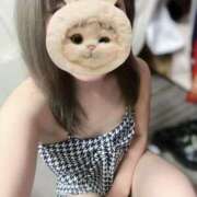 ヒメ日記 2025/08/18 15:54 投稿 てん みつらん鉄道