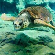 ヒメ日記 2025/04/13 14:26 投稿 みのり 元祖ぽちゃカワ倶楽部