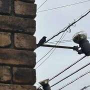 ヒメ日記 2025/10/05 15:16 投稿 みのり 元祖ぽちゃカワ倶楽部