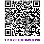 ヒメ日記 2023/12/30 18:30 投稿 MIZU/みず シーファリ