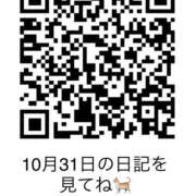 ヒメ日記 2025/11/01 09:25 投稿 MIZU/みず シーファリ