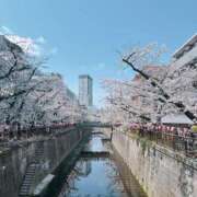 ヒメ日記 2025/04/04 23:34 投稿 りおな エリア絶対的な看板嬢♡ Office Love　町田店（Loveグループ）