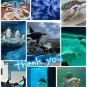 ヒメ日記 2025/08/23 11:48 投稿 りおな エリア絶対的な看板嬢♡ Office Love　町田店（Loveグループ）