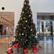 ヒメ日記 2025/12/14 08:48 投稿 りおな エリア絶対的な看板嬢♡ Office Love　町田店（Loveグループ）