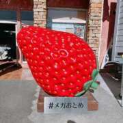 ヒメ日記 2026/02/01 12:41 投稿 りおな エリア絶対的な看板嬢♡ Office Love　町田店（Loveグループ）