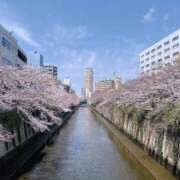 ヒメ日記 2026/03/29 07:58 投稿 りおな エリア絶対的な看板嬢♡ Office Love　町田店（Loveグループ）