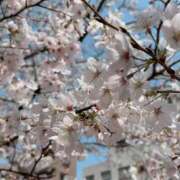 ヒメ日記 2026/04/01 23:22 投稿 りおな エリア絶対的な看板嬢♡ Office Love　町田店（Loveグループ）