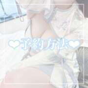 ヒメ日記 2025/08/17 11:48 投稿 ひな 静岡駅前ちゃんこ