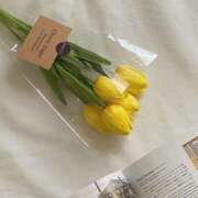 ヒメ日記 2024/12/20 21:23 投稿 栞子(かこ) グランドオペラ福岡