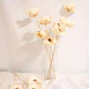 栞子(かこ) 本日(ᐥᐜᐥ)♡ᐝ グランドオペラ福岡