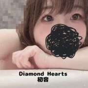 初音(はつね) 次回は2/25(日)15時～ Diamond Hearts