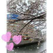 ヒメ日記 2025/03/31 09:55 投稿 みき 横浜デビュー