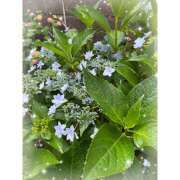 ヒメ日記 2025/06/07 14:25 投稿 みき 横浜デビュー