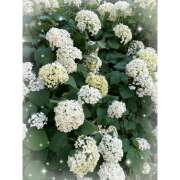 ヒメ日記 2025/06/18 10:05 投稿 みき 横浜デビュー