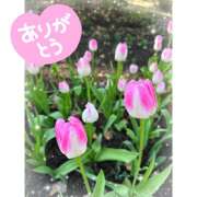 ヒメ日記 2026/04/04 21:40 投稿 みき 横浜デビュー