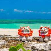 ヒメ日記 2026/04/22 12:34 投稿 ひめか CHIANTI OKINAWA