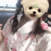 ヒメ日記 2025/08/19 12:18 投稿 なるみ ホテピン