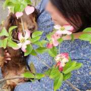 ヒメ日記 2025/04/20 17:34 投稿 あやめ 美熟女倶楽部Hip's 春日部店