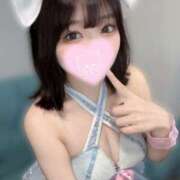 ヒメ日記 2025/06/08 21:03 投稿 さつき フロンティア