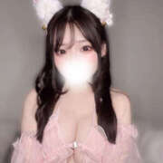 ヒメ日記 2025/07/10 17:18 投稿 さつき フロンティア