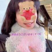 ヒメ日記 2024/12/15 07:25 投稿 野風【ノカゼ】 輝女