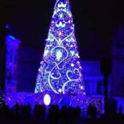 ヒメ日記 2024/12/26 15:03 投稿 野風【ノカゼ】 輝女