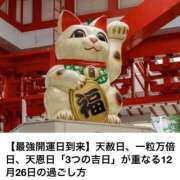 ヒメ日記 2024/12/26 21:15 投稿 野風【ノカゼ】 輝女