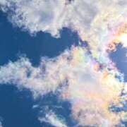 ヒメ日記 2025/02/24 15:02 投稿 野風【ノカゼ】 輝女