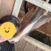 ヒメ日記 2025/03/10 15:18 投稿 野風【ノカゼ】 輝女