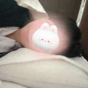 ヒメ日記 2025/04/12 03:19 投稿 野風【ノカゼ】 輝女